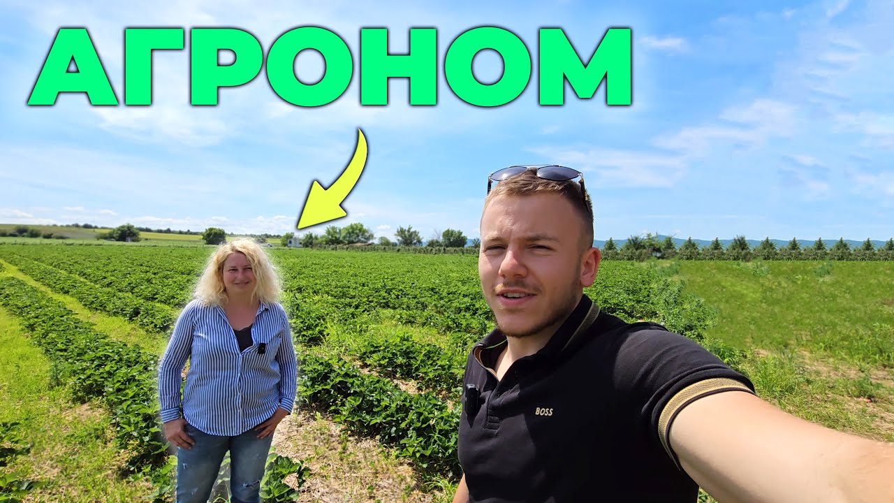 Агроном дава съвети за ягоди