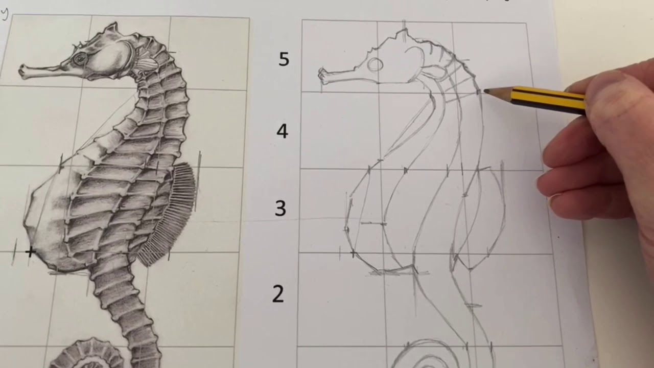 Drawing Proportion Grid drawing - YouTube