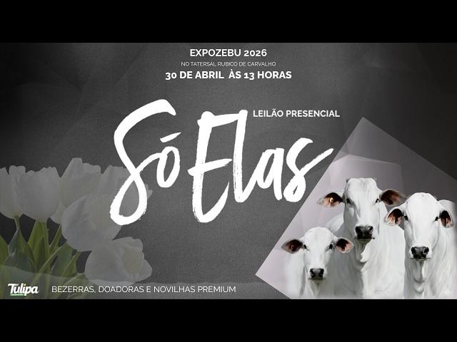 LOTE 30   NZT 25