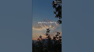 عبدالباسط عبدالصمد #قرآن #تلاوة_خاشعة  #اكسبلور #قران_كريم #subscribe #عبدالباسط_عبدالصمد