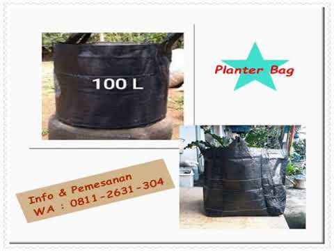 Mengetahui Ukuran Polybag dan Peruntukannya Supaya Tidak Salah Beli. 