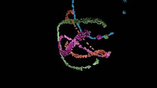 Blender Boids Particles Animation