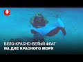 Бело-красно-белый флаг на дне Красного моря