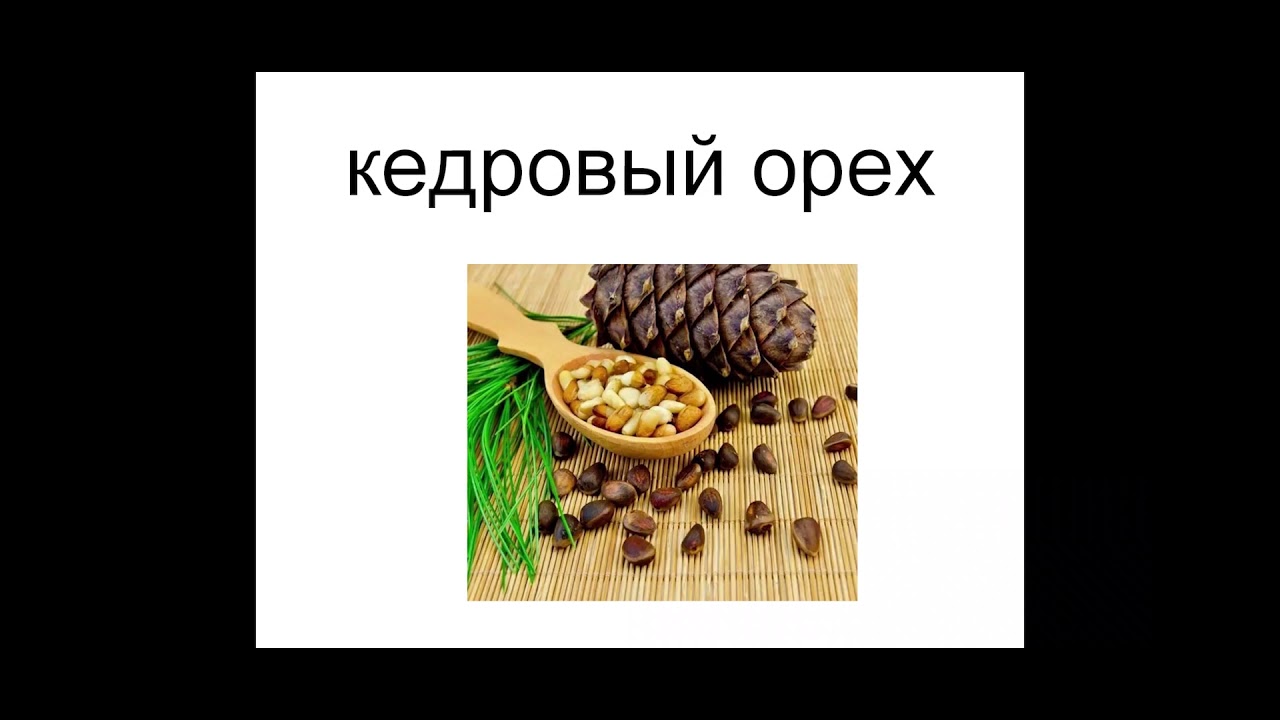 Слова что орехи без ядра