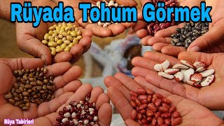 Rüyada Tohum Görmek Tabiri Nedir / Rüya Tabirleri Yorumları