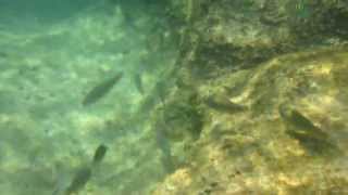 Snorkeling in a Natural Lagoon in Mexico