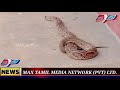 MAX தமிழின் இன்றைய பிரதான செய்தி | 16.05.2021