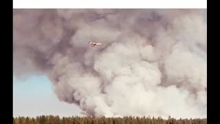 California hog fire in lassen county west of susanville update july 21