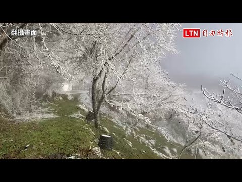 清晨降雪1小時 南横向陽山區整片銀白世界(翻攝畫面) - 清晨降雪1小時 南横向陽山區整片銀白世界(翻攝畫面)