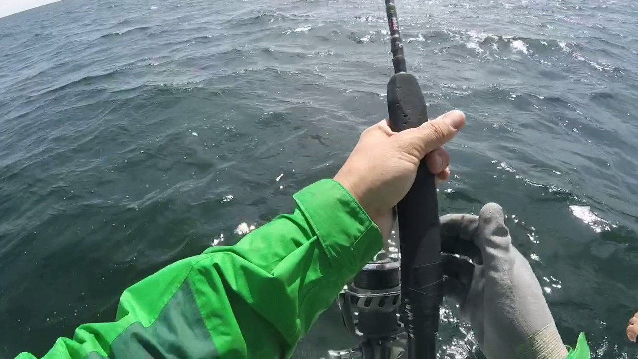 Van stall blue fin tuna striper fishing cape cod 