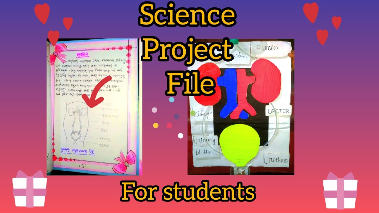 How to make a project file || science project file for school || How to ...