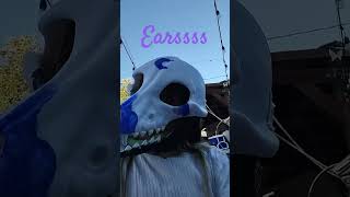 process of my skull dog pt 1