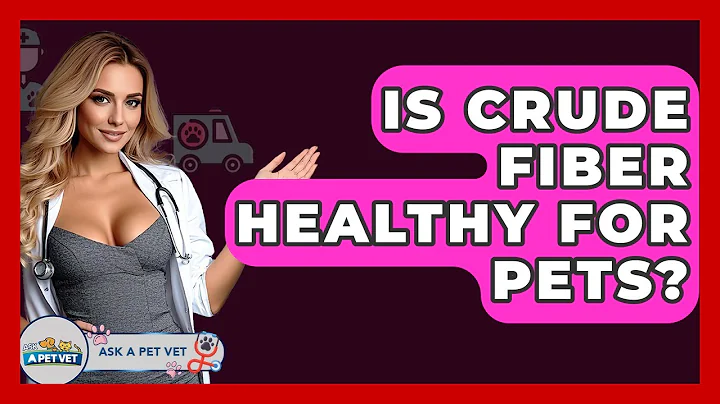 Is Crude Fiber Healthy For Pets? - Ask A Pet Vet