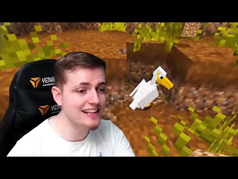 Nenechme pelikány trpět! #shorts