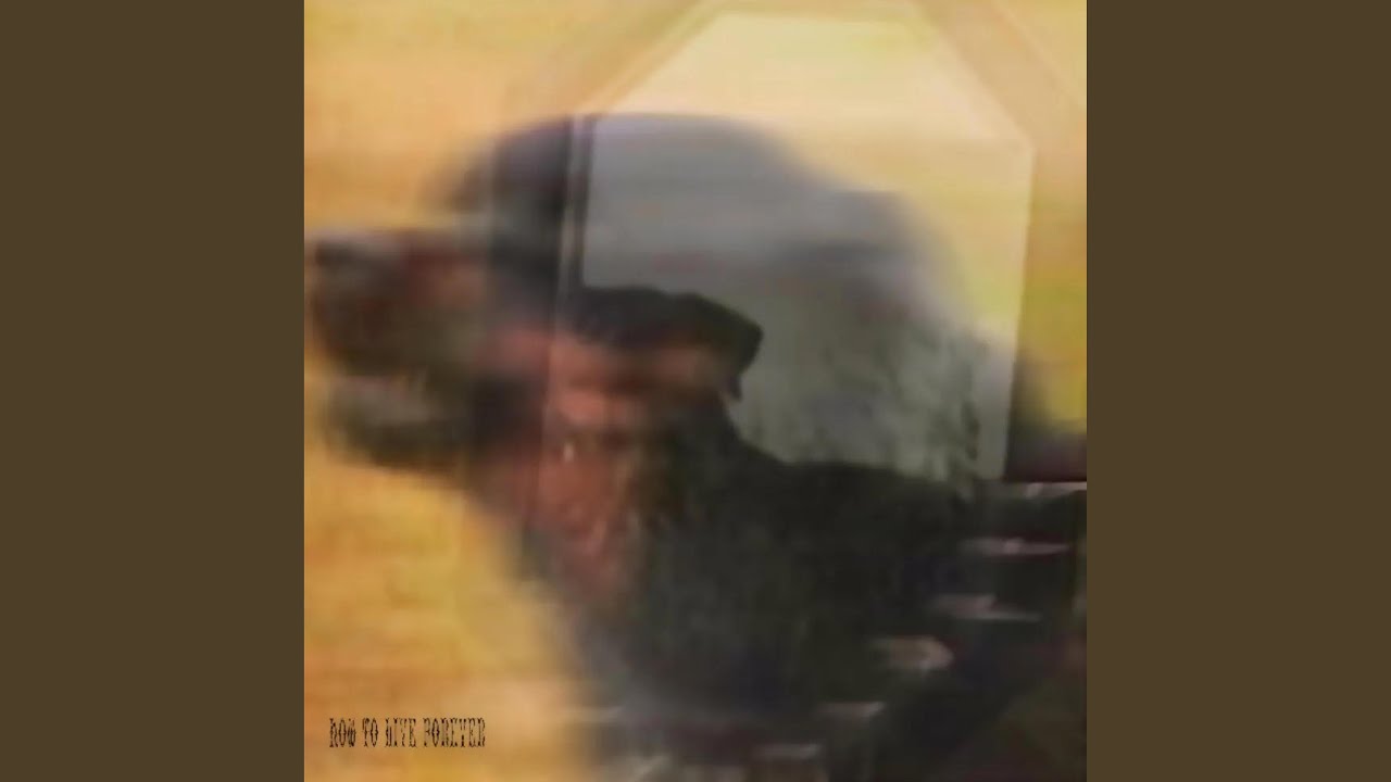 Watch thefog on YouTube Watch thefog on YouTube