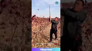 Watch Trees My Brain video