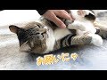 ぷーちゃんのお願いが可愛すぎて断れない･･･