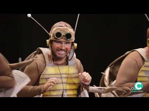 Chirigota, Las que salen por la noche - Preliminares