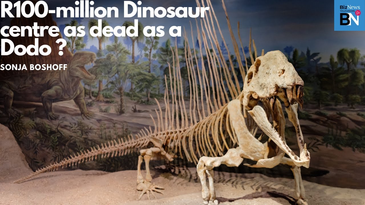 R100-million Dinosaur centre as dead as a Dodo? MP Sonja Boshoff - YouTube