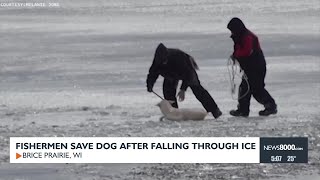 Fishermen Save Dog After Falling Through Ice