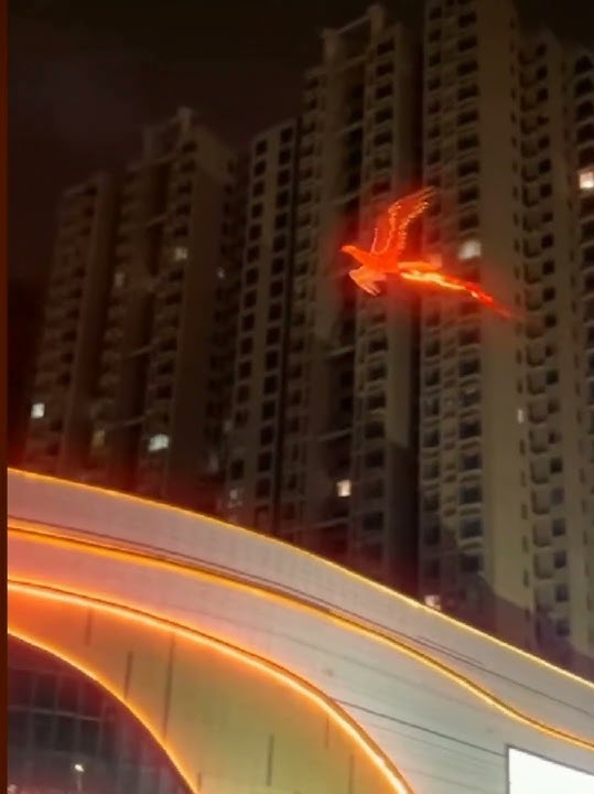 penampakan burung phoenix #shorts #burung #phoenix #viral