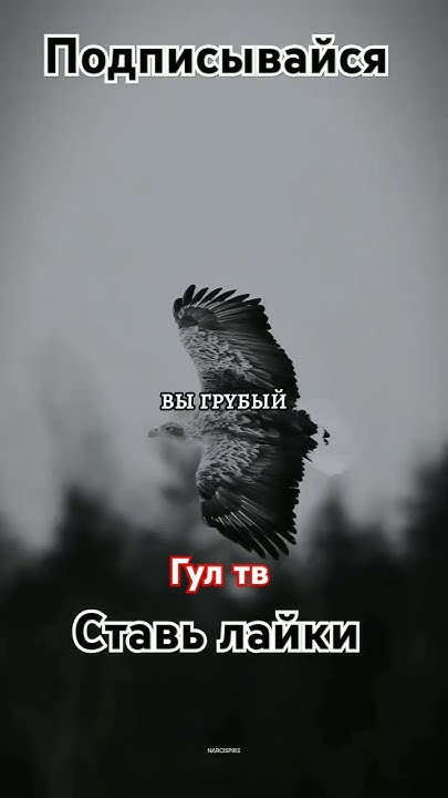 #советы - YouTube