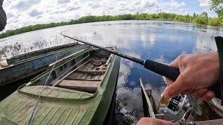 КИНУЛ приманку в ТРАВУ, ОНА СХВАТИЛА. Рыбалка на спиннинг на реке, щука в 2024