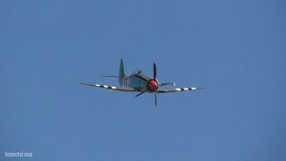 Hawker Sea Fury | Airshow Roudnice nad Labem 2022
