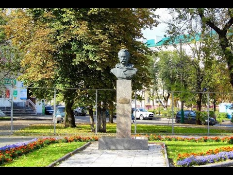 Хвойные в сквере Дениса Давыдова