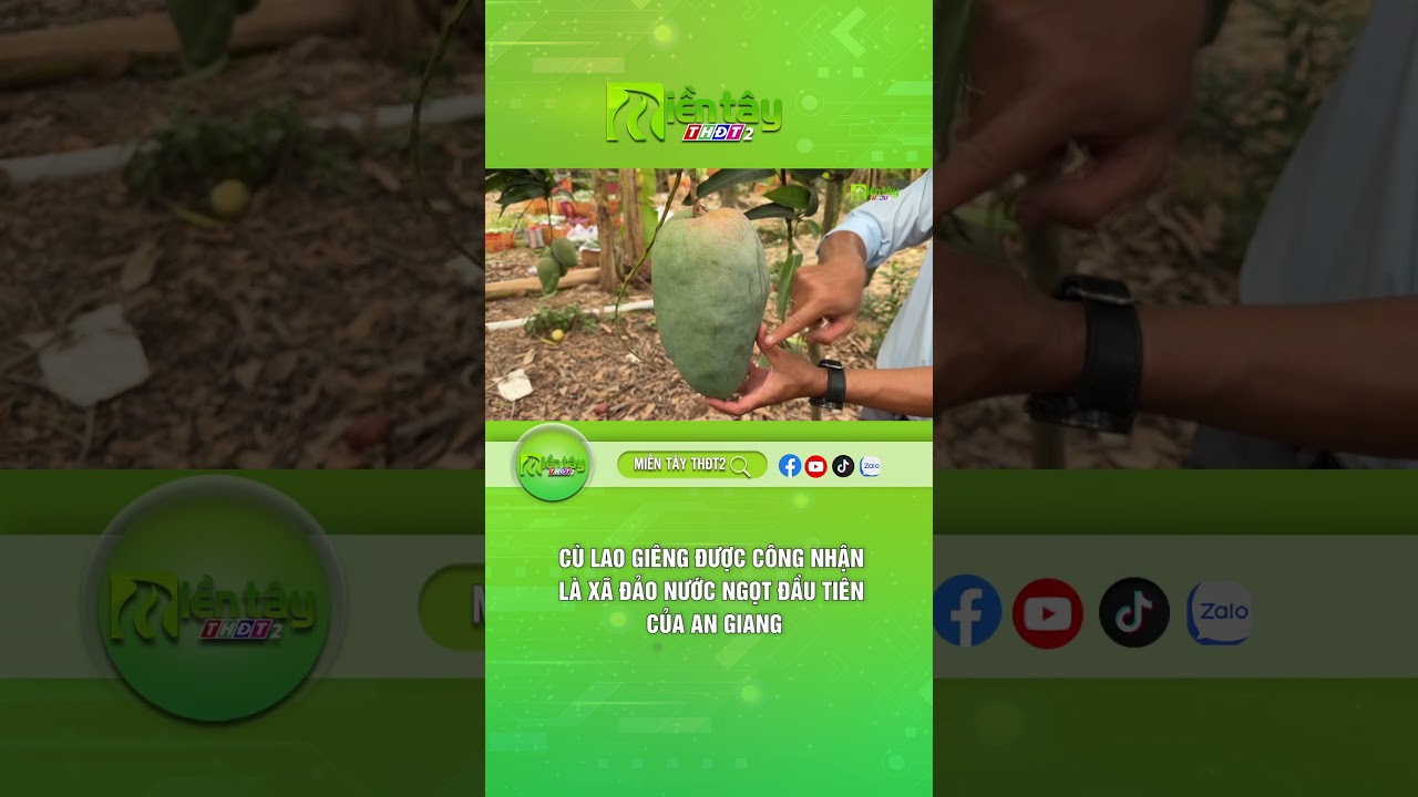 Cù Lao Giêng được công nhận là xã đảo nước ngọt đầu tiên của An Giang