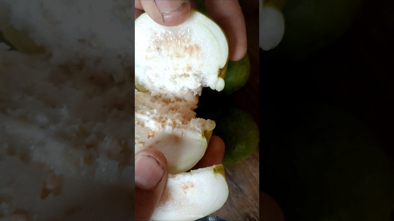 Guava skills fruit cutting 🍏🍋