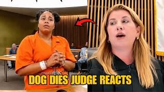 Judge west Gives Animal Cruelty Defendant 10 Years Probation After Dog Dies on Balcony