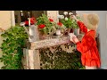 ［vlog］初夏へのうつろい｜お庭のある暮らし｜最近始めた小さな習慣｜ハーブウォーターのレシピ