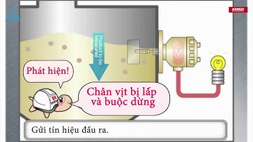Cảm biến báo mức loại xoay 2 cánh Kansai Automation dùng cho nguyên liệu rắn