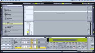 How to: Side Brain - 8 Buttons (Ableton Live tutorial) Profile