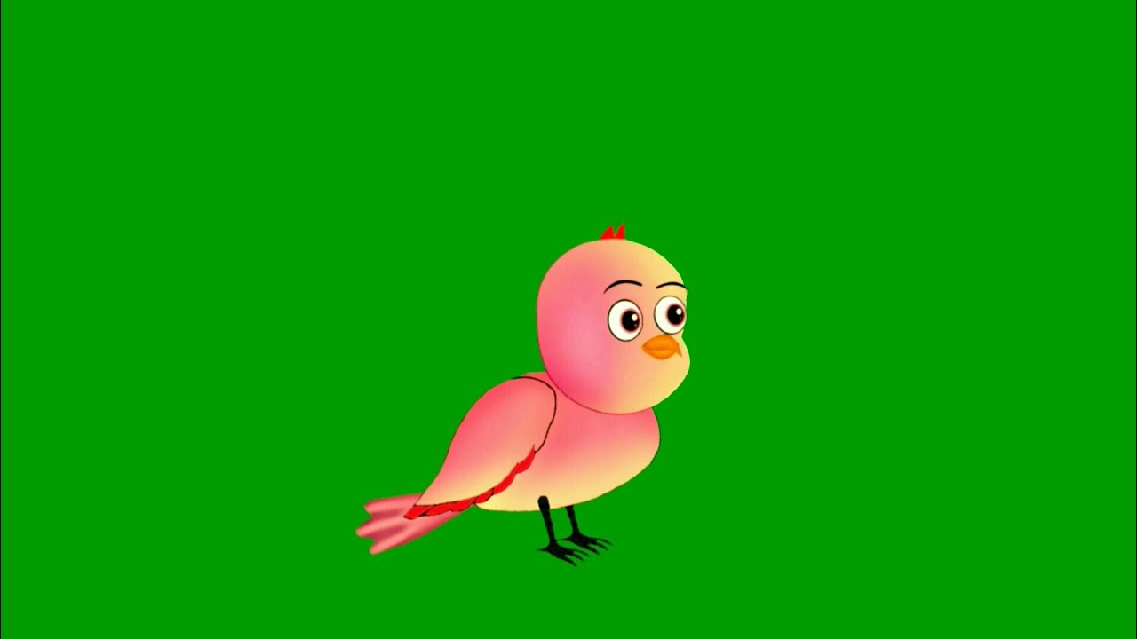 Tuni Chidiya/Taking Birds/Green Screen Talking Bird/Green Screen Tuni  Chidiya/Chidiya Wala Cartoon - YouTube