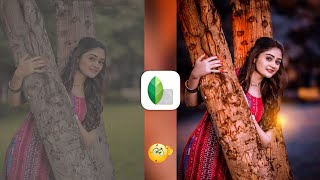 New Snapseed Background Colour Change Tricks 2022 | Snapseed Photo Editing | Snapseed Editing Tricks