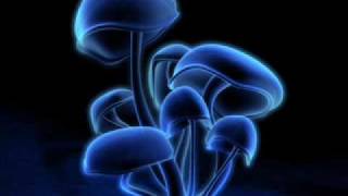 Video thumbnail of "1200 micrograms- magic mushrooms"