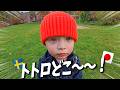 2歳にノーベル賞を説明したらトトロを探しに行った【スウェーデンで日本語育児】