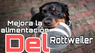 Cuanto debe comer un rottweiler