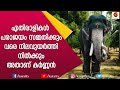 തെച്ചിക്കോട്ട് രാമചന്ദ്രൻ പോലും കർണ്ണന്റെ മുൻപിൽ അടിയറവ് പറഞ്ഞു|Mangalamkunnu Karnan |E for Elephant