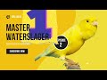 Malinois Waterslager Canary Training Song Master Episode 2 وتر سلاجر مالينوا