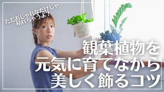 【ただおしゃれなだけじゃない】観葉植物を元気に育てられる素敵な飾り方＊インテリア実例