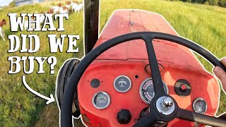 OUR OWN TRACTOR AT LAST! - WAS IT THE RIGHT CHOICE? 🚜