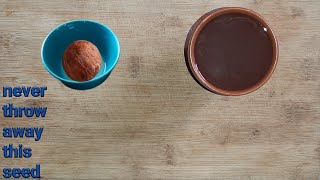how to make avocado seed tea | avocado seed recipe | how to eat avocado seed | #19