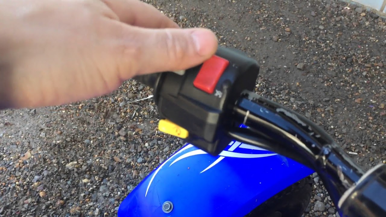 Quadzilla Pro Shark Youtube