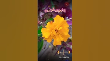 سورة الكوثر....بصوت القارئ عبد الرحمٰن مسعد.... حالات واتس آب.