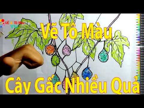 Hãy nêu cảm nhận của em về bài Cây tre của Bùi Ngọc Sơn  Văn mẫu lớp 4