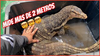 INTERACTUANDO CON DRAGÓN GIGANTE!!!!