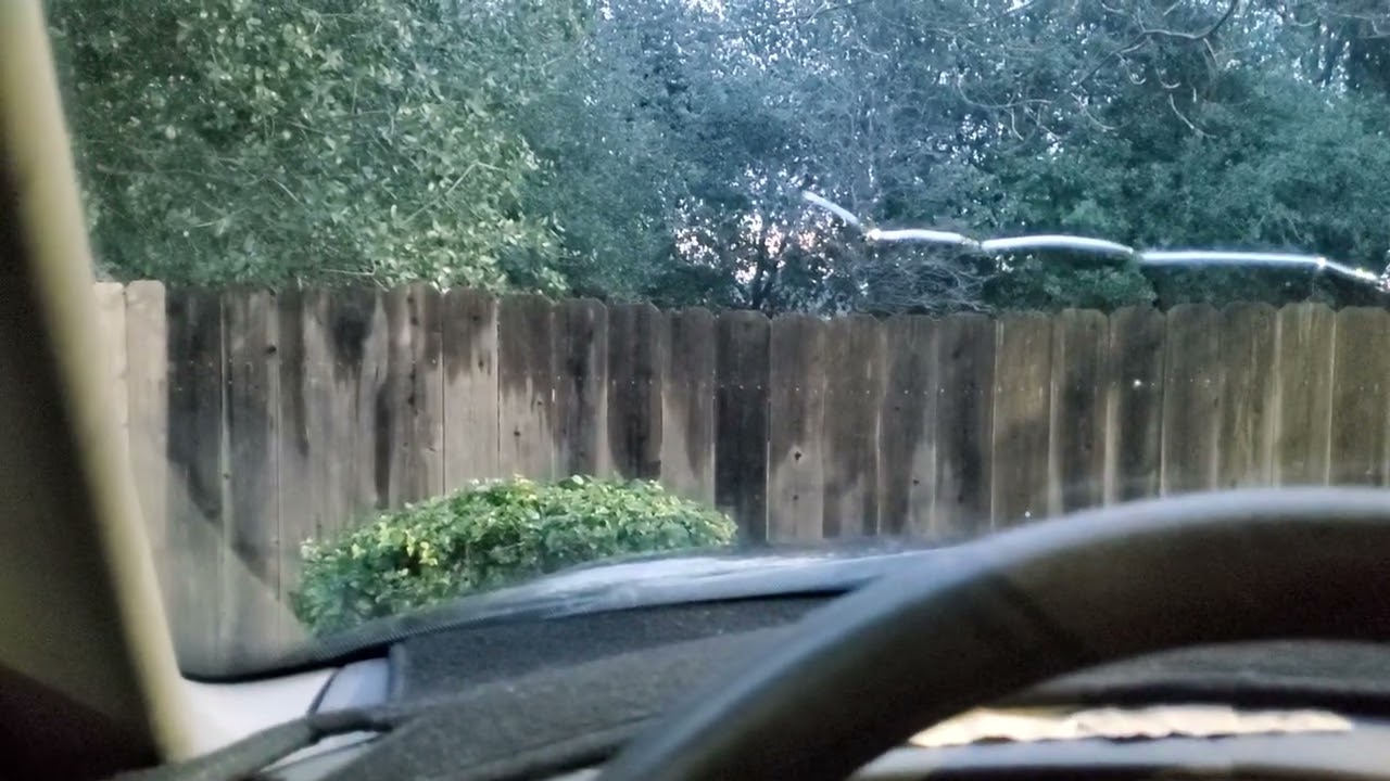 ILGM Seeds.Buyer Beware Junk Genetics